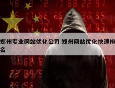 郑州专业网站优化公司 郑州网站优化快速排名