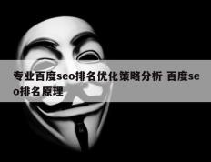 专业百度seo排名优化策略分析 百度seo排名原理