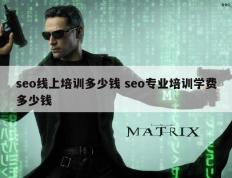 seo线上培训多少钱 seo专业培训学费多少钱