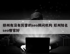 郑州有没有厉害的seo顾问机构 郑州知名seo哪家好