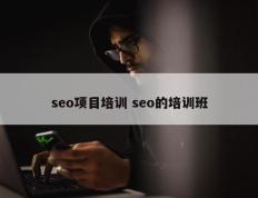 seo项目培训 seo的培训班