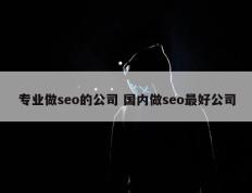 专业做seo的公司 国内做seo最好公司