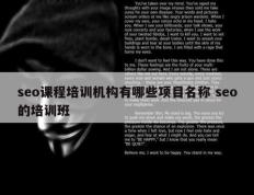seo课程培训机构有哪些项目名称 seo的培训班