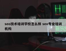 seo技术培训学校怎么样 seo专业培训机构