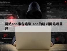 网站seo排名培训 seo的培训网站哪里好
