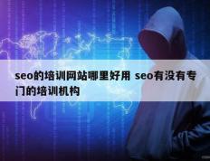 seo的培训网站哪里好用 seo有没有专门的培训机构