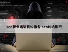 seo职业培训机构排名 seo的培训班