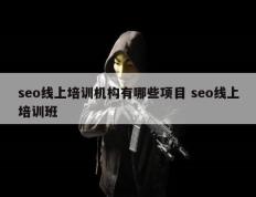 seo线上培训机构有哪些项目 seo线上培训班