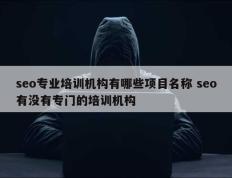 seo专业培训机构有哪些项目名称 seo有没有专门的培训机构