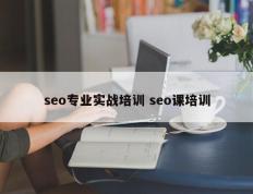 seo专业实战培训 seo课培训