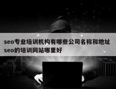 seo专业培训机构有哪些公司名称和地址 seo的培训网站哪里好