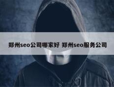 郑州seo公司哪家好 郑州seo服务公司