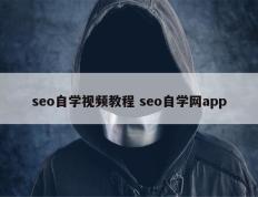 seo自学视频教程 seo自学网app