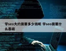 学seo大约需要多少钱呢 学seo需要什么基础