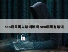 seo哪里可以培训班啊 seo哪里有培训