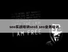 seo实战培训seo8 seo业务培训
