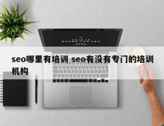 seo哪里有培训 seo有没有专门的培训机构