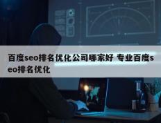 百度seo排名优化公司哪家好 专业百度seo排名优化