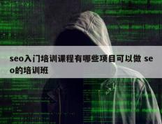 seo入门培训课程有哪些项目可以做 seo的培训班