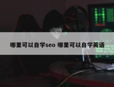 哪里可以自学seo 哪里可以自学英语