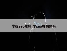 学好seo难吗 学seo有前途吗
