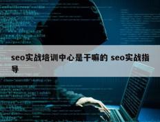 seo实战培训中心是干嘛的 seo实战指导