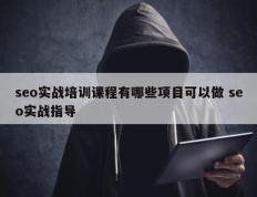 seo实战培训课程有哪些项目可以做 seo实战指导