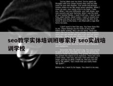 seo教学实体培训班哪家好 seo实战培训学校