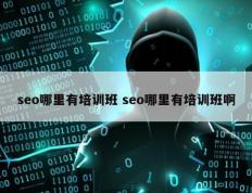 seo哪里有培训班 seo哪里有培训班啊