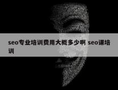 seo专业培训费用大概多少啊 seo课培训