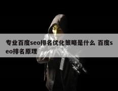 专业百度seo排名优化策略是什么 百度seo排名原理