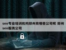 seo专业培训机构郑州有哪些公司呢 郑州seo服务公司