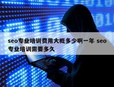 seo专业培训费用大概多少啊一年 seo专业培训需要多久