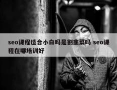 seo课程适合小白吗是割韭菜吗 seo课程在哪培训好