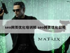 seo网页优化培训班 seo网页优化公司