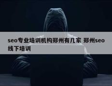 seo专业培训机构郑州有几家 郑州seo线下培训