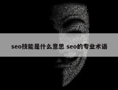 seo技能是什么意思 seo的专业术语