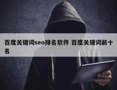 百度关键词seo排名软件 百度关键词前十名