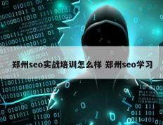 郑州seo实战培训怎么样 郑州seo学习