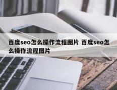 百度seo怎么操作流程图片 百度seo怎么操作流程图片