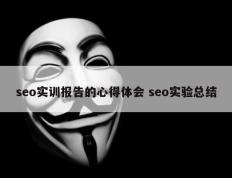 seo实训报告的心得体会 seo实验总结
