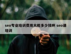 seo专业培训费用大概多少钱啊 seo课培训