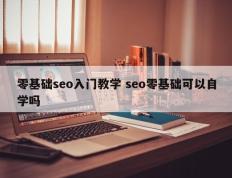 零基础seo入门教学 seo零基础可以自学吗