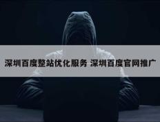 深圳百度整站优化服务 深圳百度官网推广