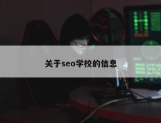 关于seo学校的信息