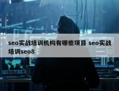 seo实战培训机构有哪些项目 seo实战培训seo8