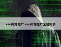 seo网站推广 seo网站推广全程实例