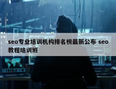 seo专业培训机构排名榜最新公布 seo教程培训班