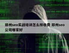 郑州seo实战培训怎么样收费 郑州seo公司哪家好