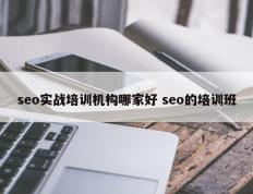 seo实战培训机构哪家好 seo的培训班